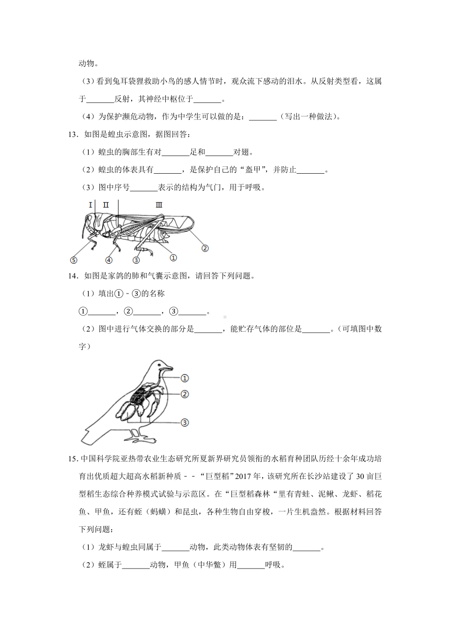 人教版生物八年级上册-第一章-动物的主要类群-检测试题(解析版).doc_第3页