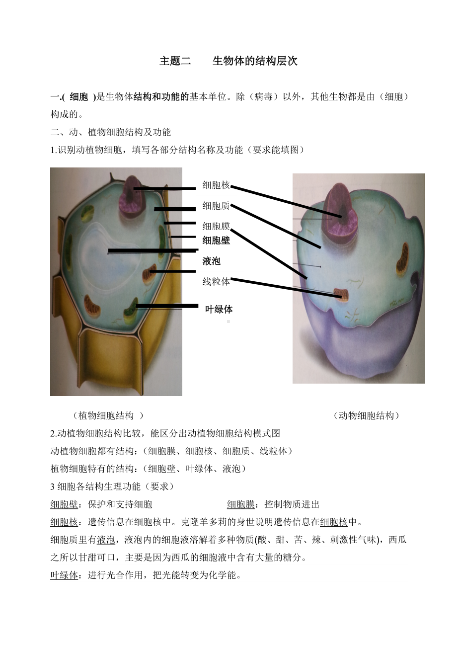 人教版初中生物知识点归纳总结.doc_第1页