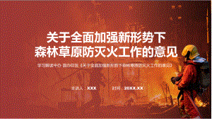 贯彻落实关于全面加强新形势下森林草原防灭火工作的意见学习解读PPT教学课件.pptx