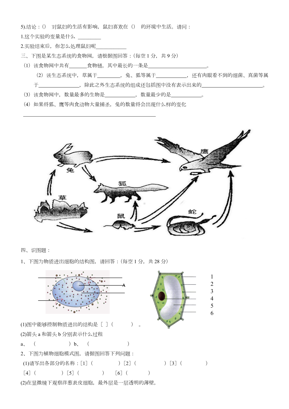 人教版七年级生物期中试卷(含答案).doc_第3页