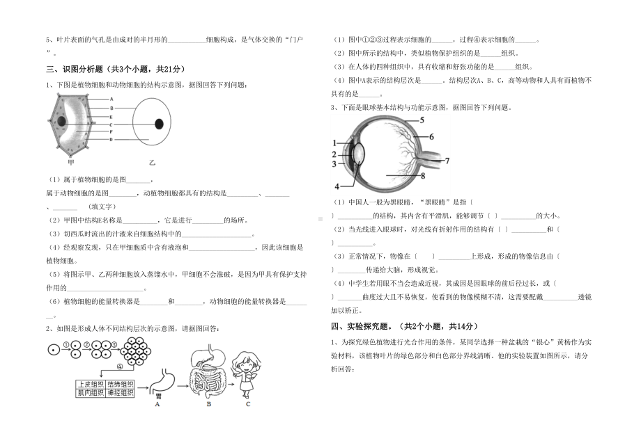 七年级生物下册期末考试卷及答案（学生专用）.doc_第3页