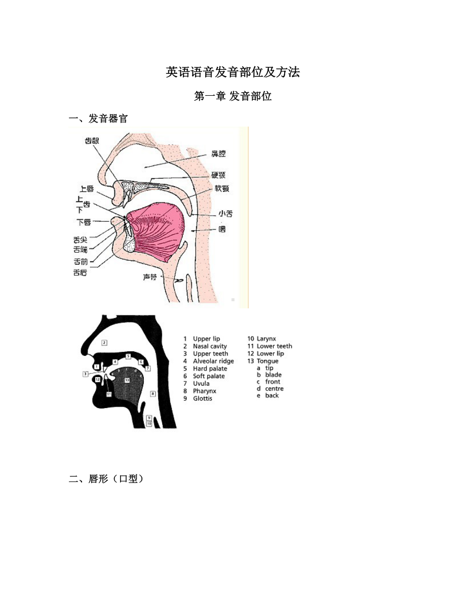 (完整版)英语语音发音部位及方法.doc_第1页