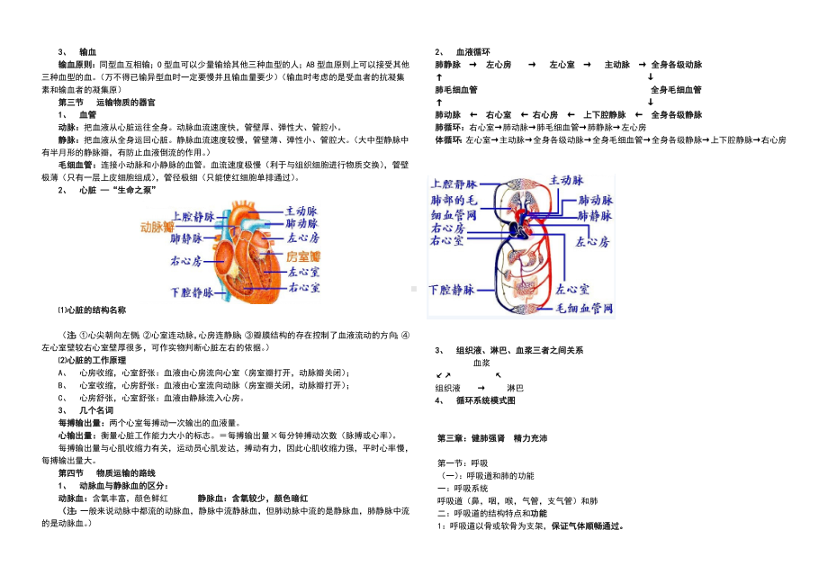 七年级下册冀教版生物知识点总结版.doc_第2页