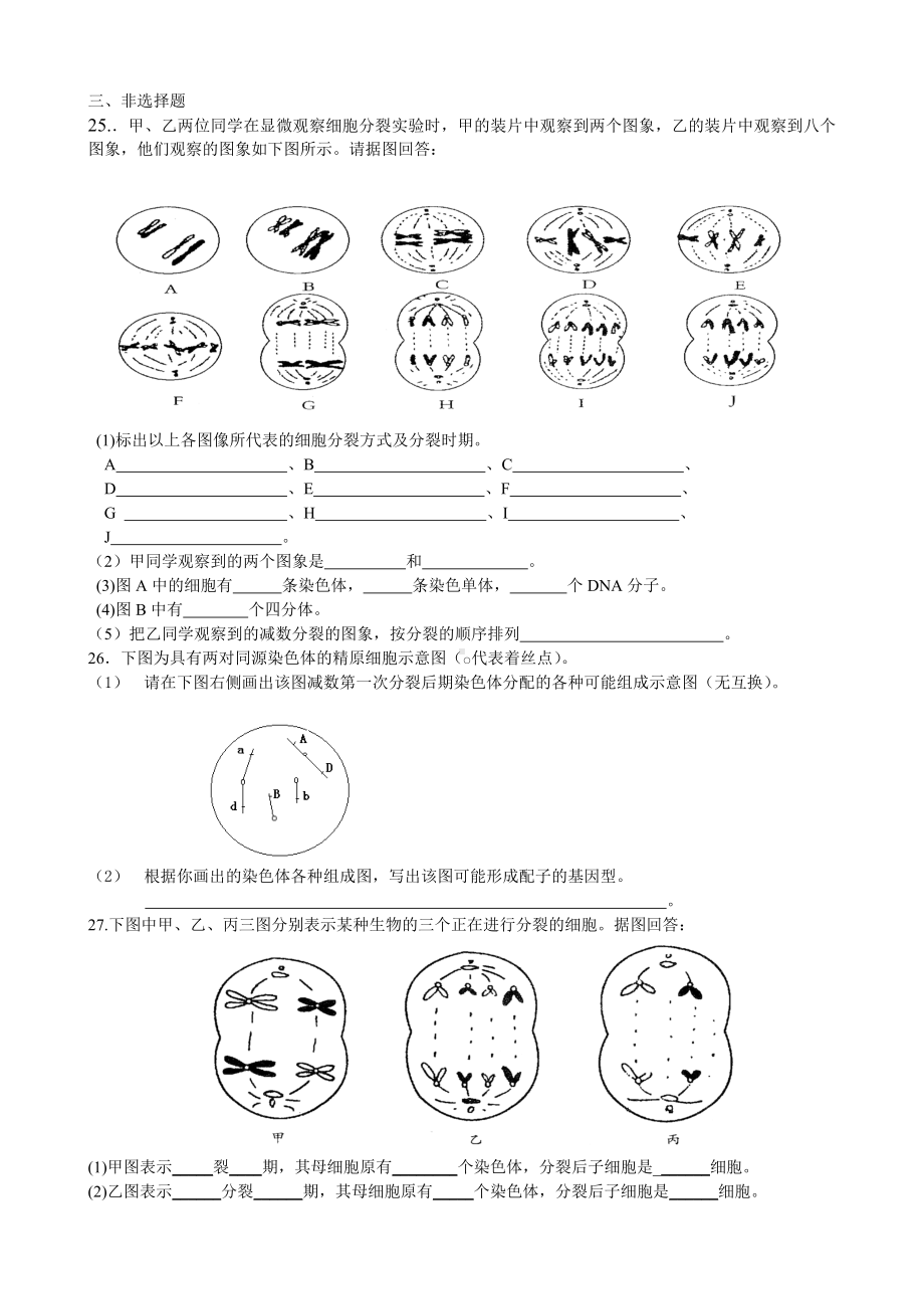 人教版-生物必修2减数分裂测试题.doc_第3页