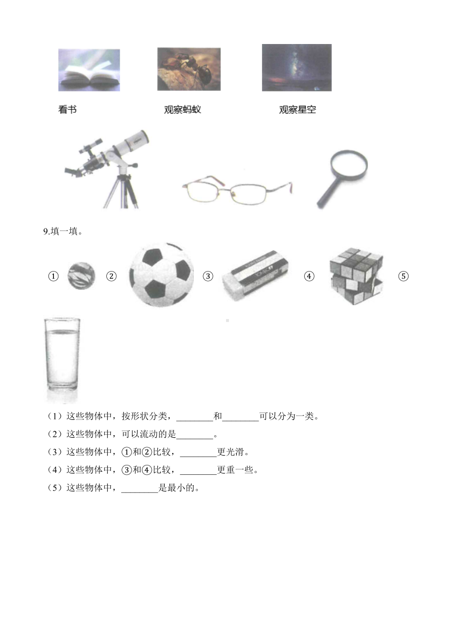 （科教版）一年级下册科学《期末考试试卷》(附答案).docx_第2页