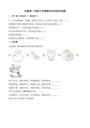 （科教版）一年级下册科学《期末考试试卷》(附答案).docx