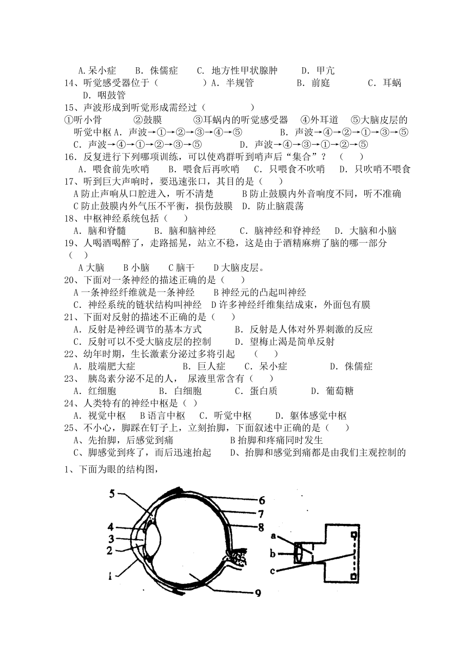 七年级生物下册-第六章-人体生命活动的调节测试题.doc_第2页