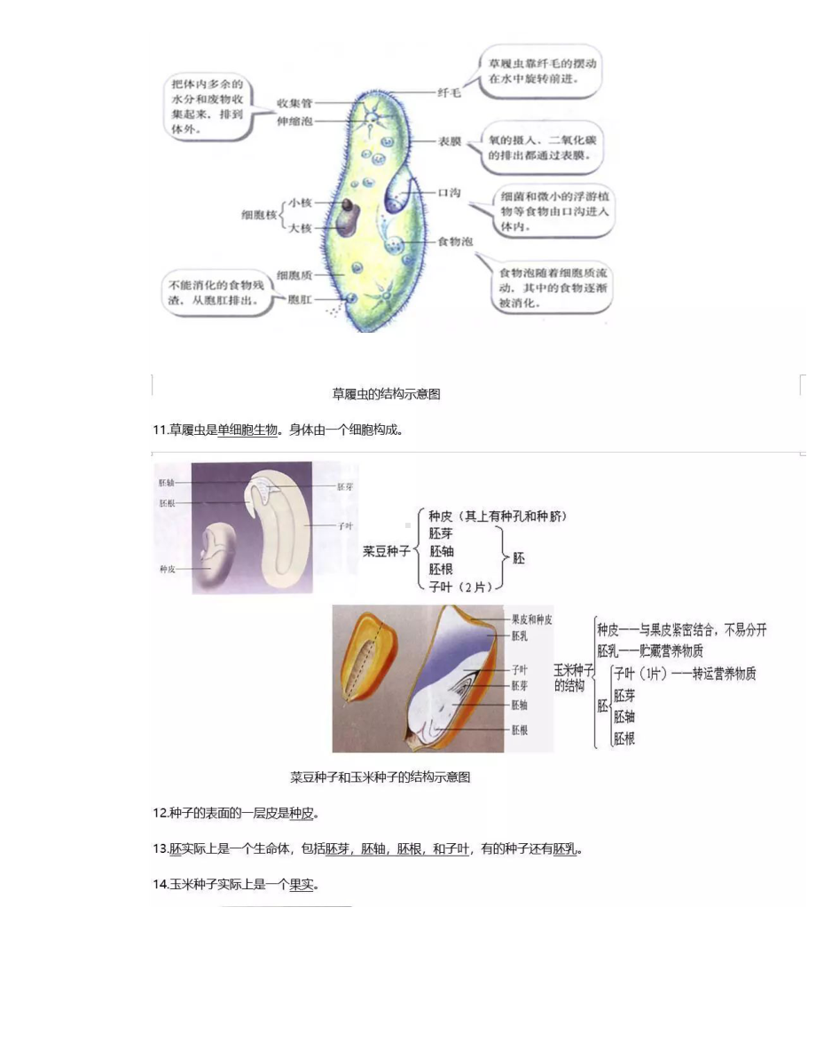 中考必备初中生物识图知识点大全.doc_第2页