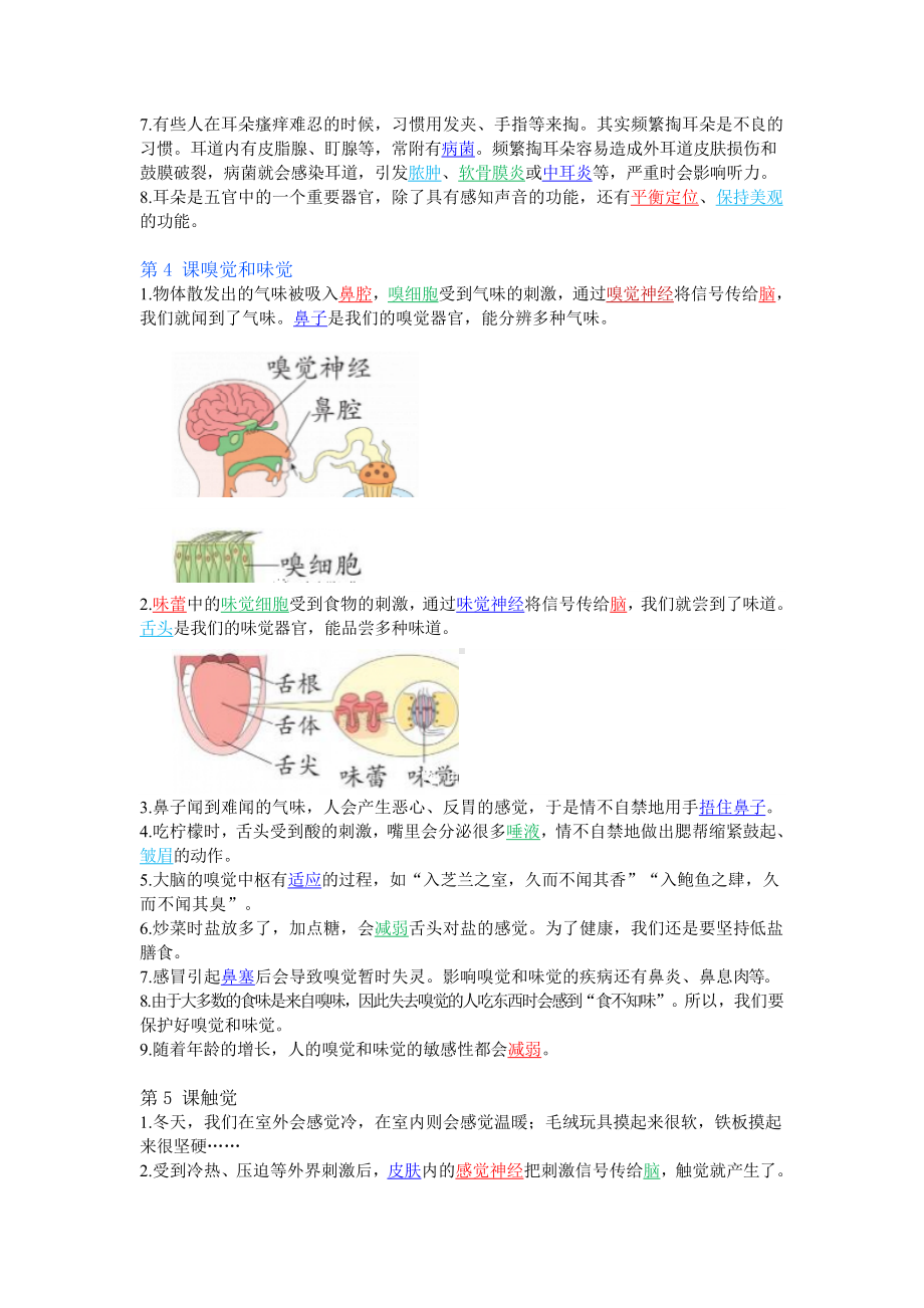 2023新青岛版（六三制）六年级下册《科学》知识点汇总.doc_第3页