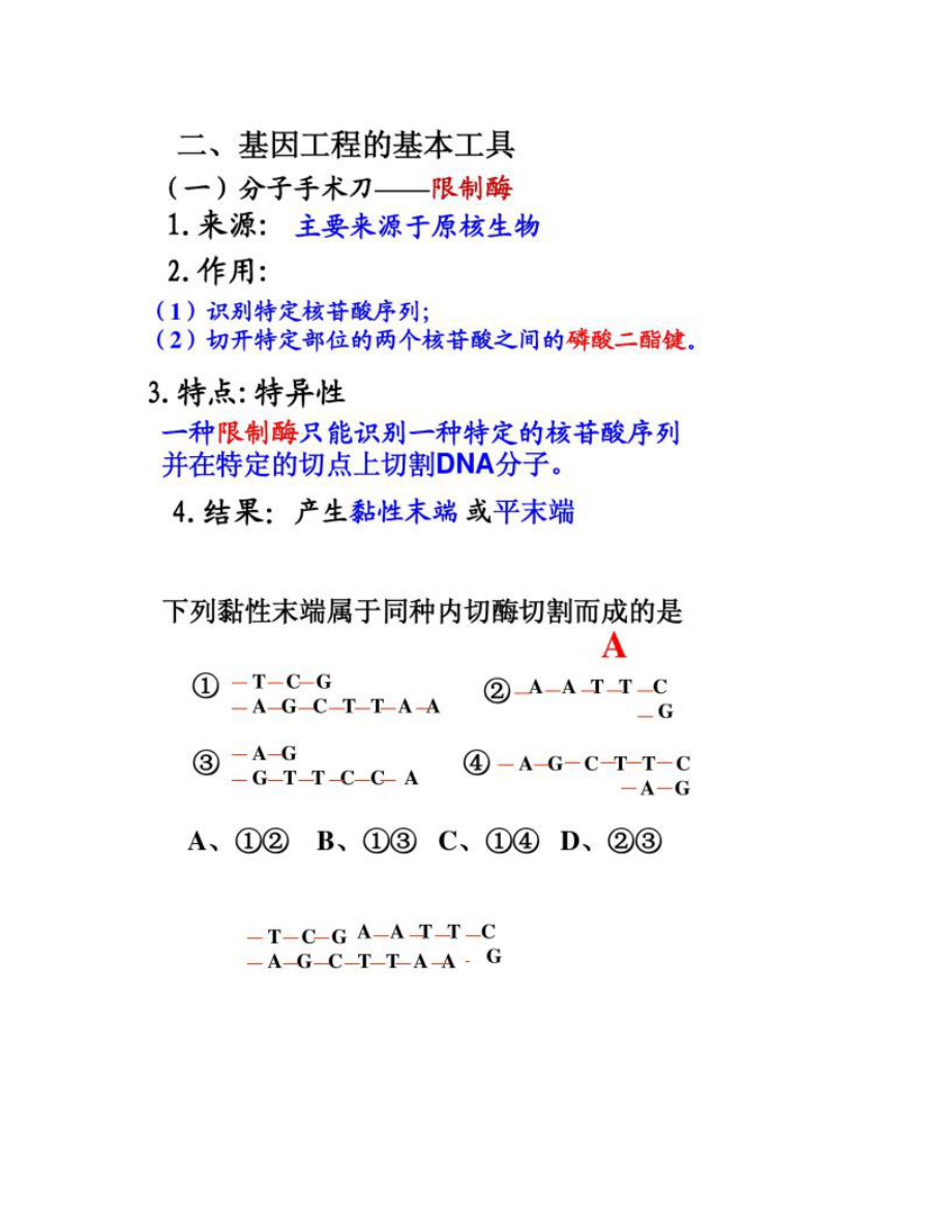 专题1-基因工程一轮复习-.doc_第2页