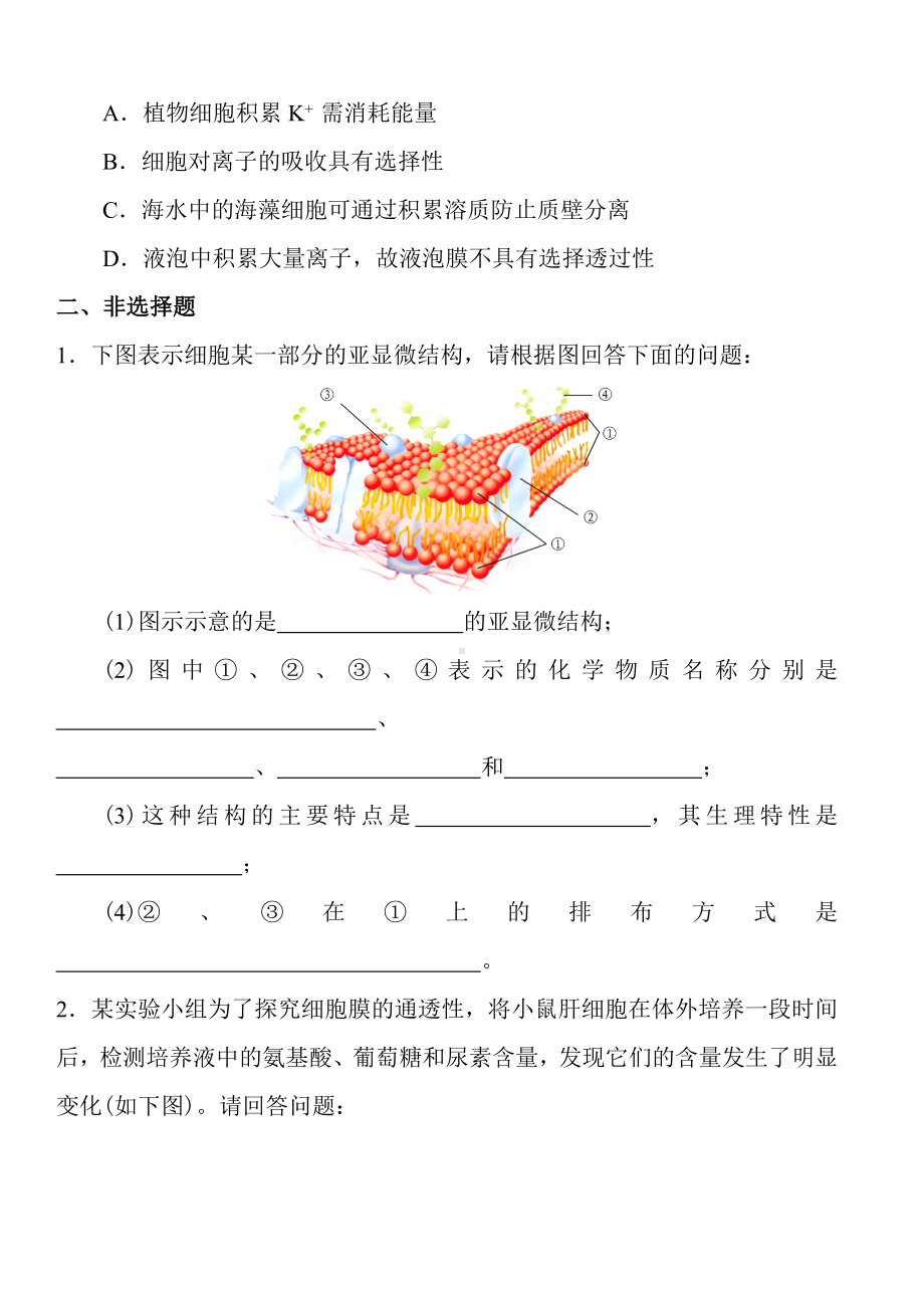 (完整版)高中生物必修一第四章练习及答案.doc_第3页