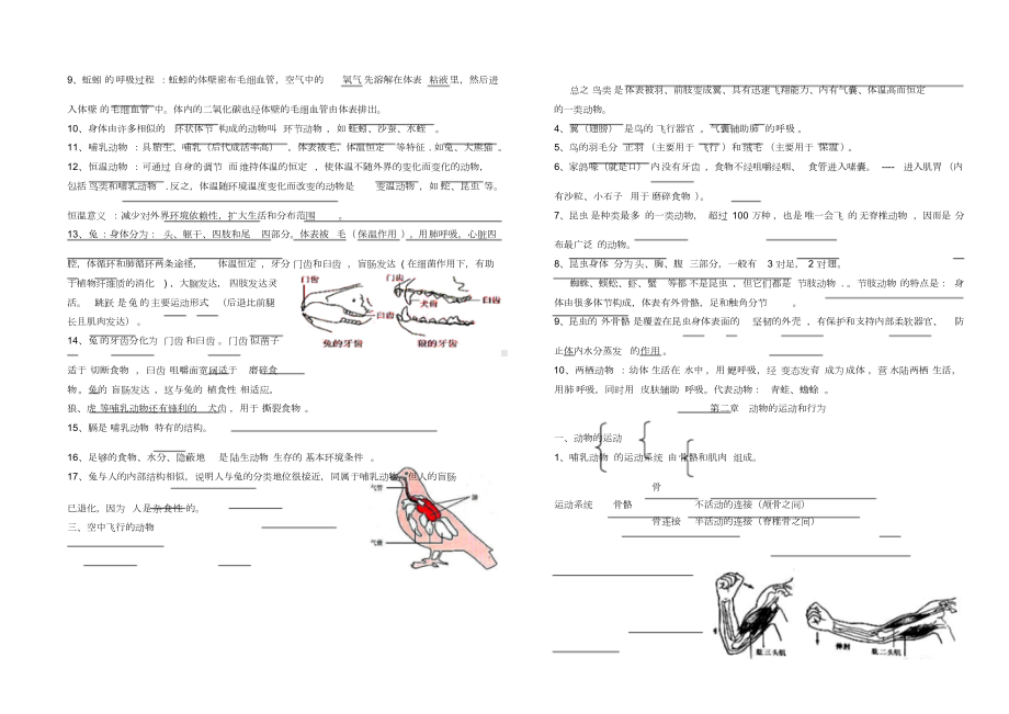 人教版八年级生物上册知识点归纳完美版.docx_第3页