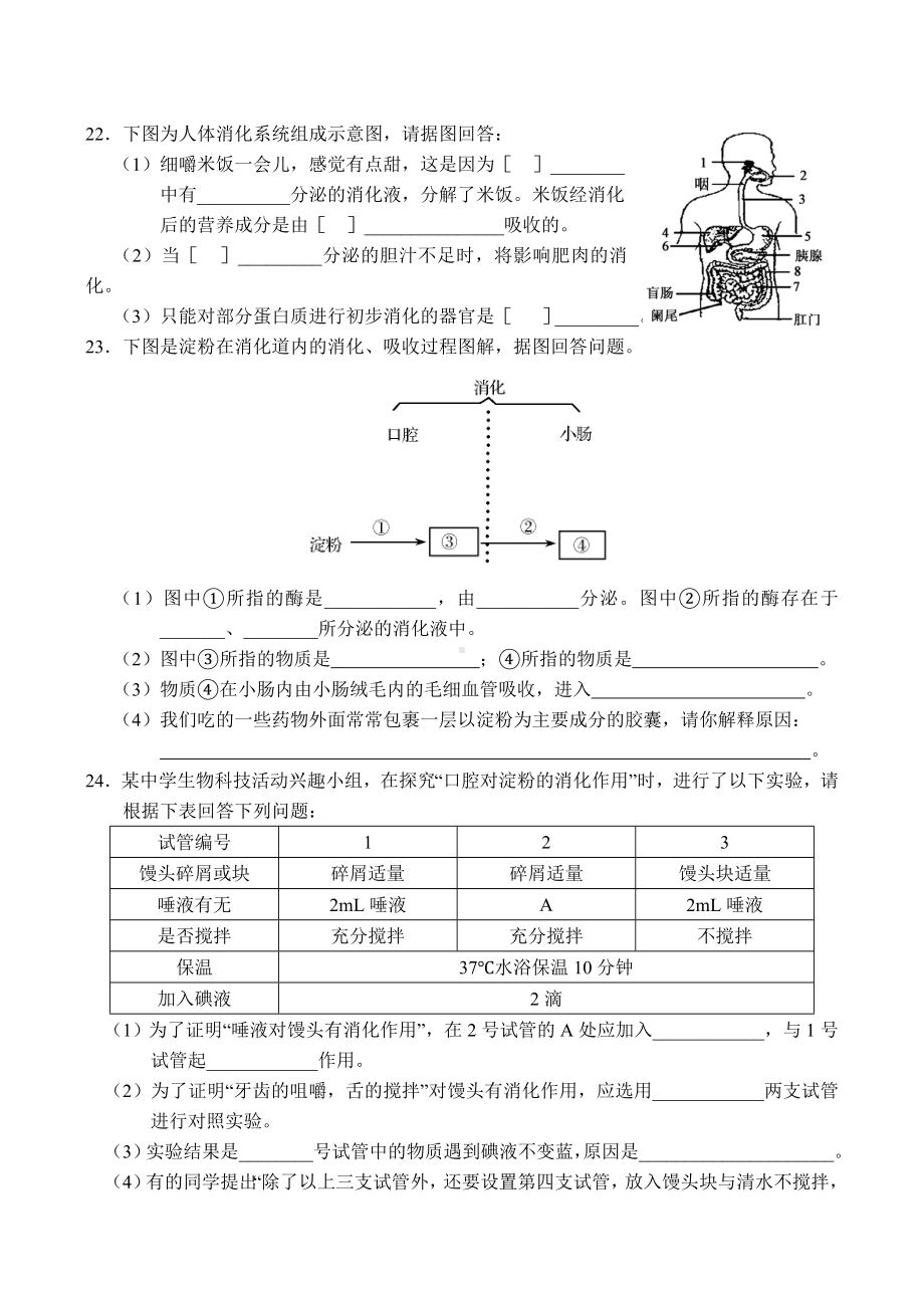 七年级下册生物单元练习题.doc_第3页