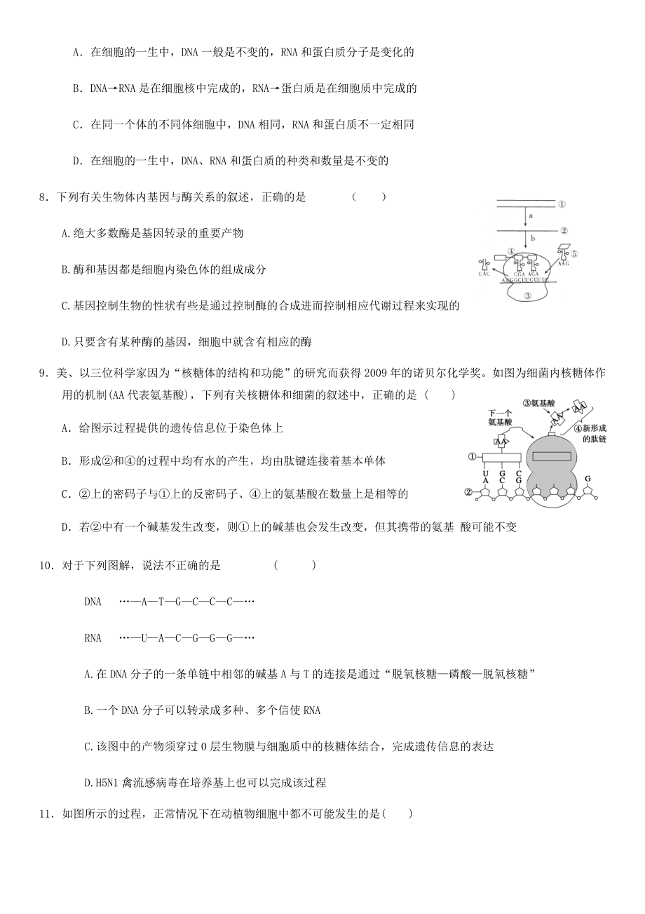 (完整版)高中生物必修二第四章测试题.doc_第2页