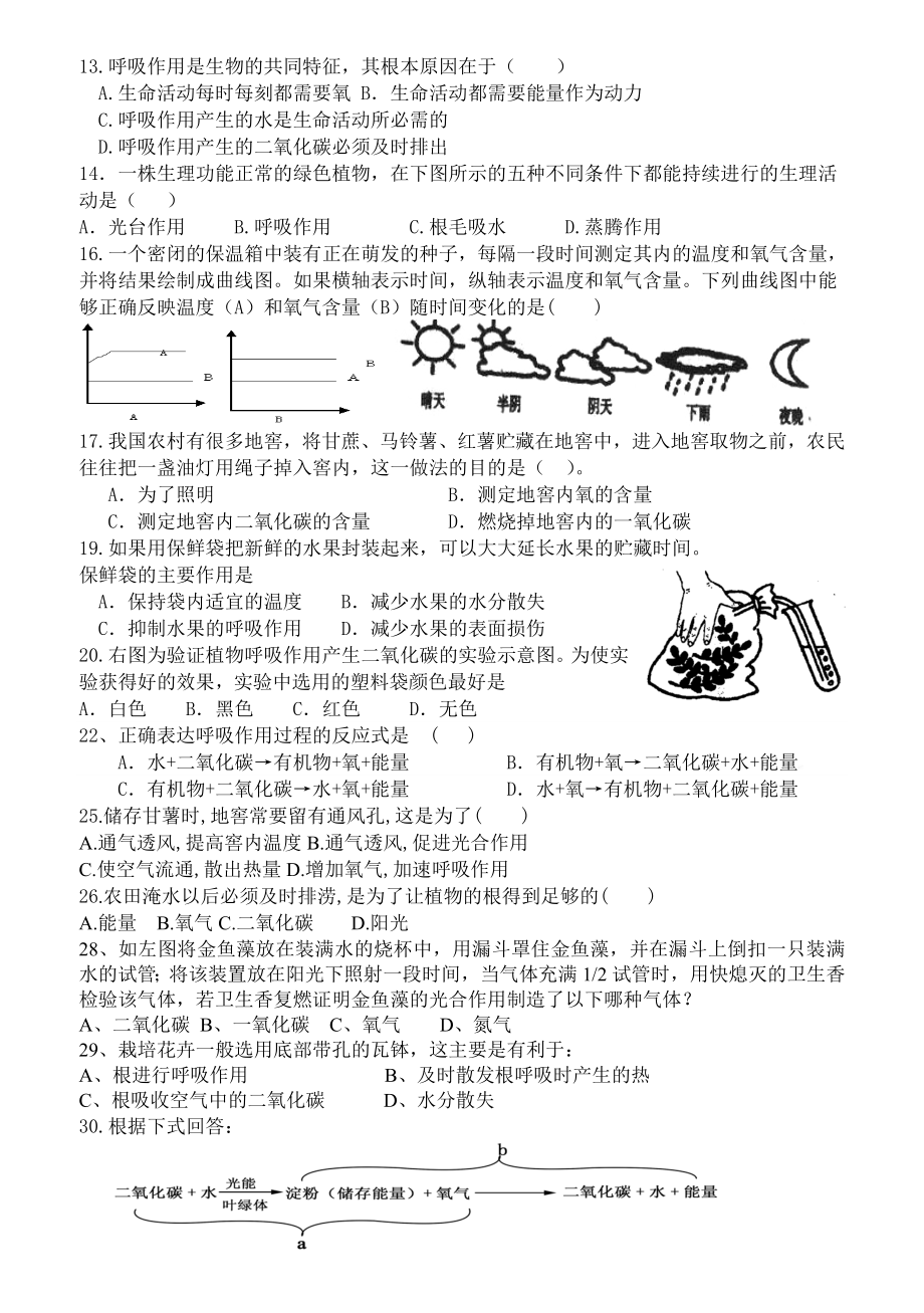 (完整版)植物的呼吸作用练习题.doc_第2页