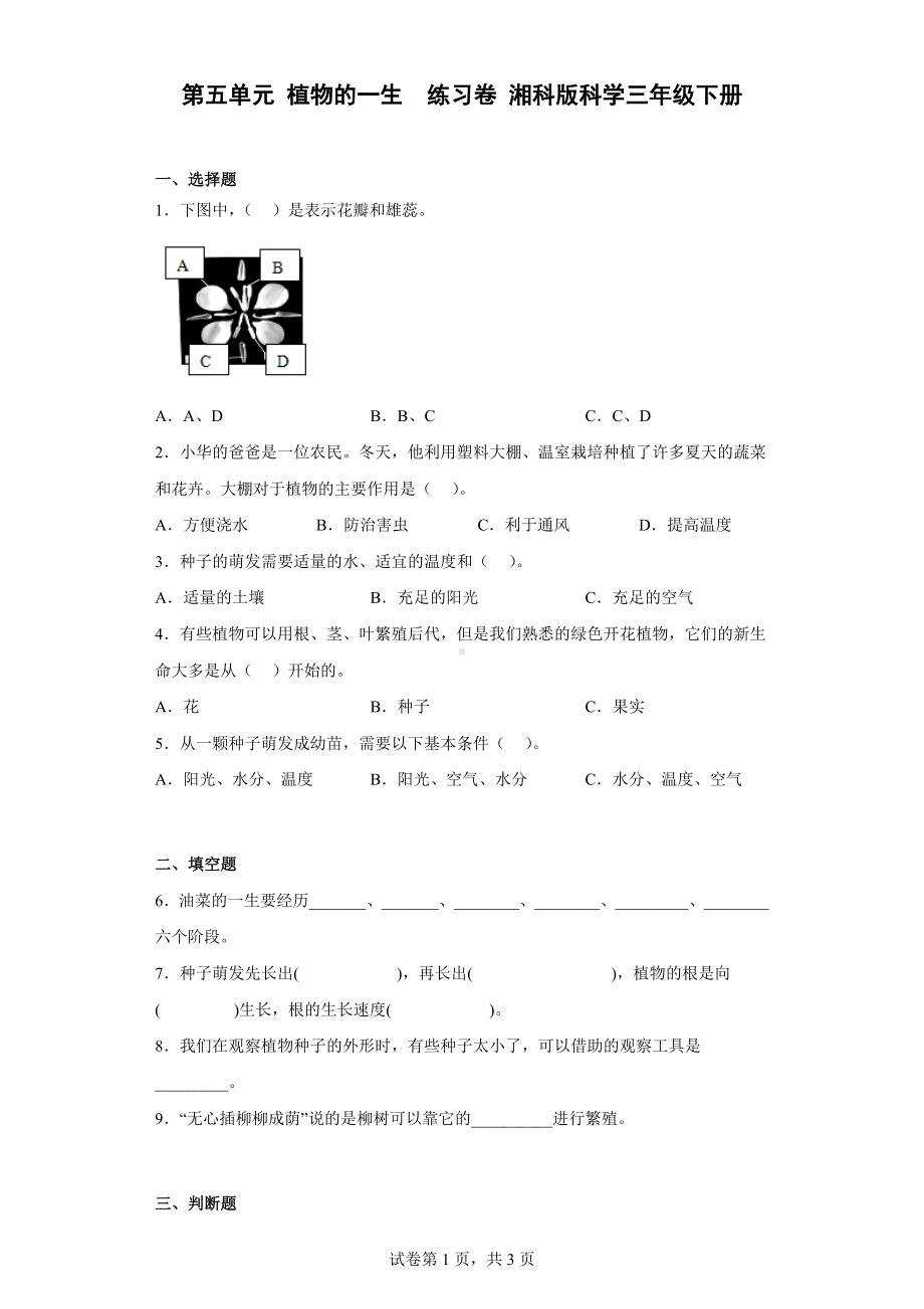 2023新湘科版三年级下册《科学》第五单元 植物的一生 练习卷 （含答案）.docx_第1页