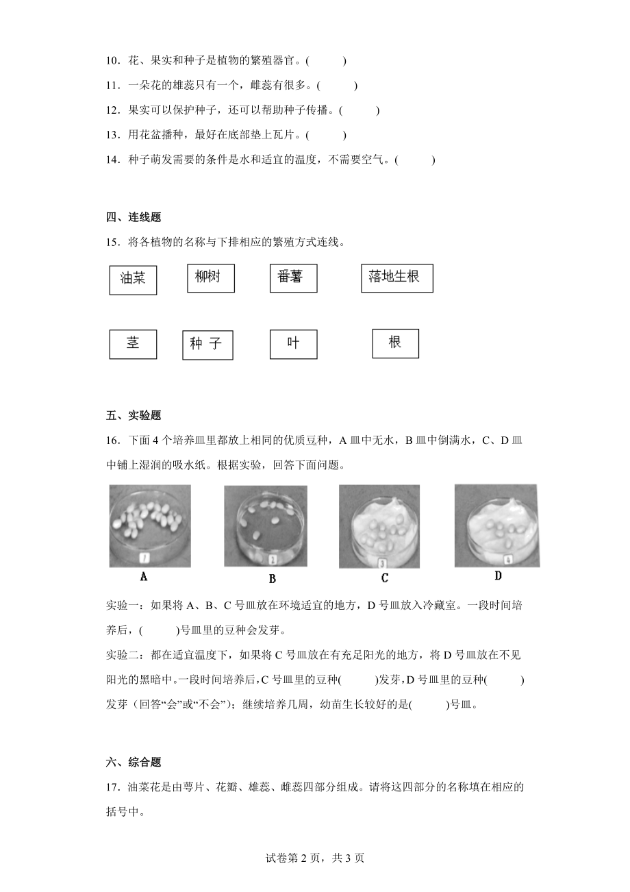 2023新湘科版三年级下册《科学》第五单元 植物的一生 练习卷 （含答案）.docx_第2页