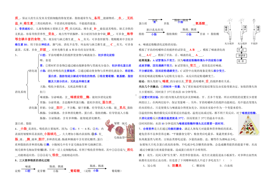 七年级上生物复习知识点(人教版).doc_第3页