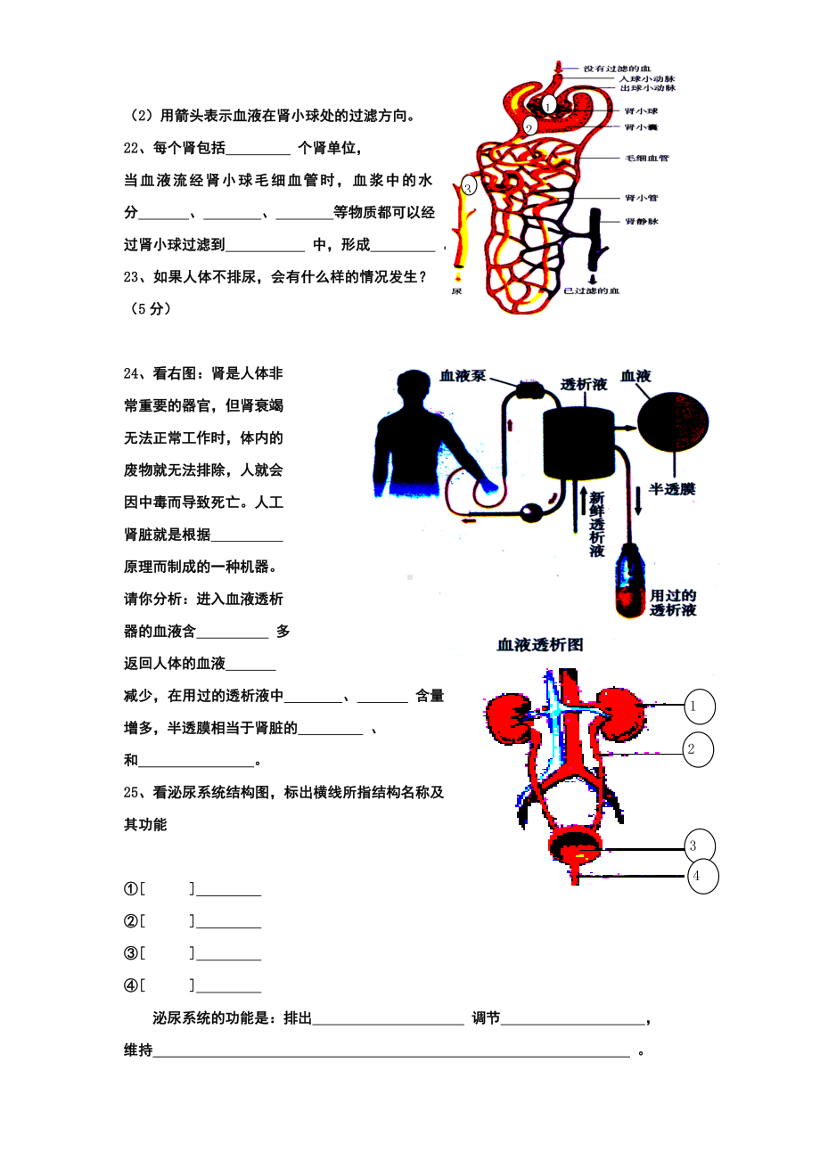 人体内废物的排出测试题.doc_第3页