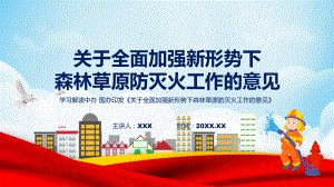 宣传讲座关于全面加强新形势下森林草原防灭火工作的意见内容PPT教学.pptx