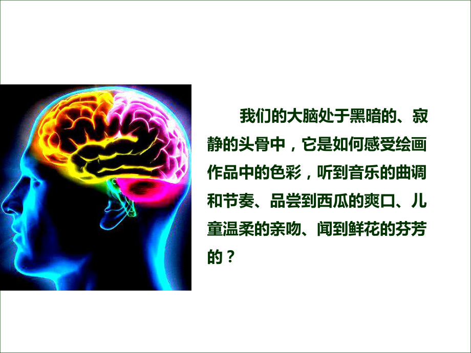 心理学课件第三章感觉和记忆.ppt_第3页