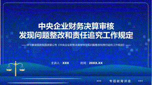 新制定央企财务决算审核发现问题整改和责任追究工作规定学习解读PPT教学.pptx