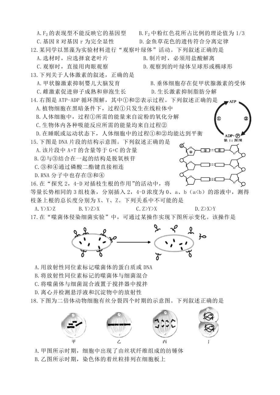 2019年6月浙江省普通高中学业水平考试生物试题(word版).doc_第2页