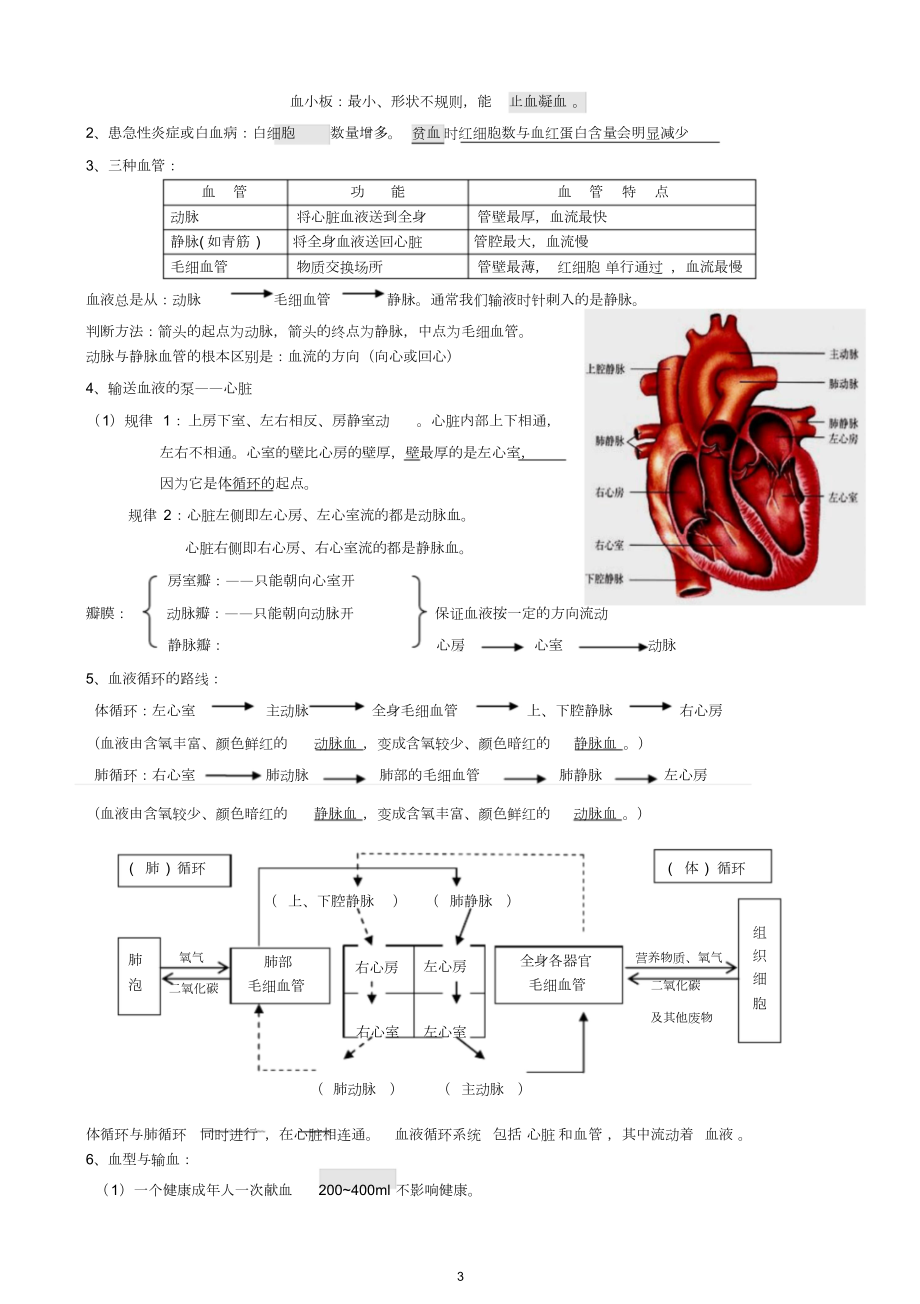 人教版七年级生物下册背诵资料(打印版).doc_第3页