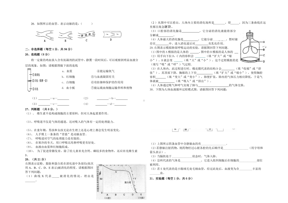 七年级下册生物期中试卷及答案.doc_第2页