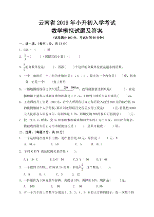 云南省2019年小升初入学考试数学模拟试题及答案.doc