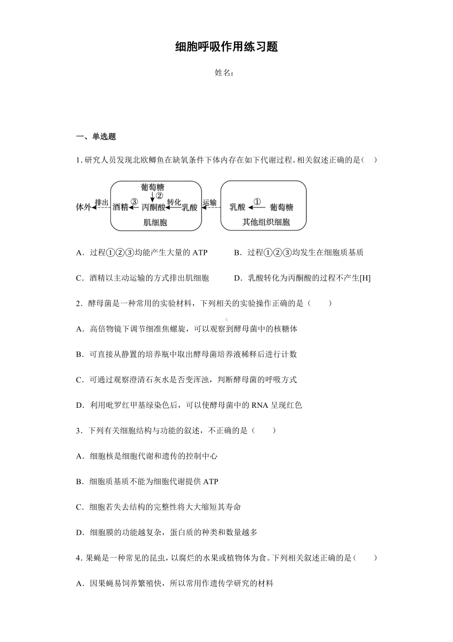 （必修一）细胞呼吸作用练习题.docx_第1页