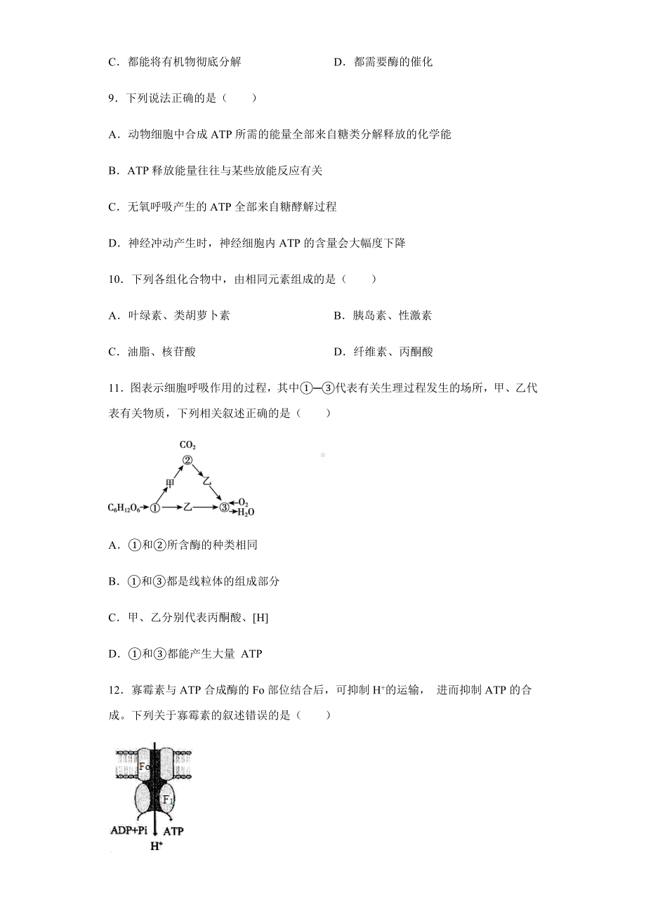 （必修一）细胞呼吸作用练习题.docx_第3页