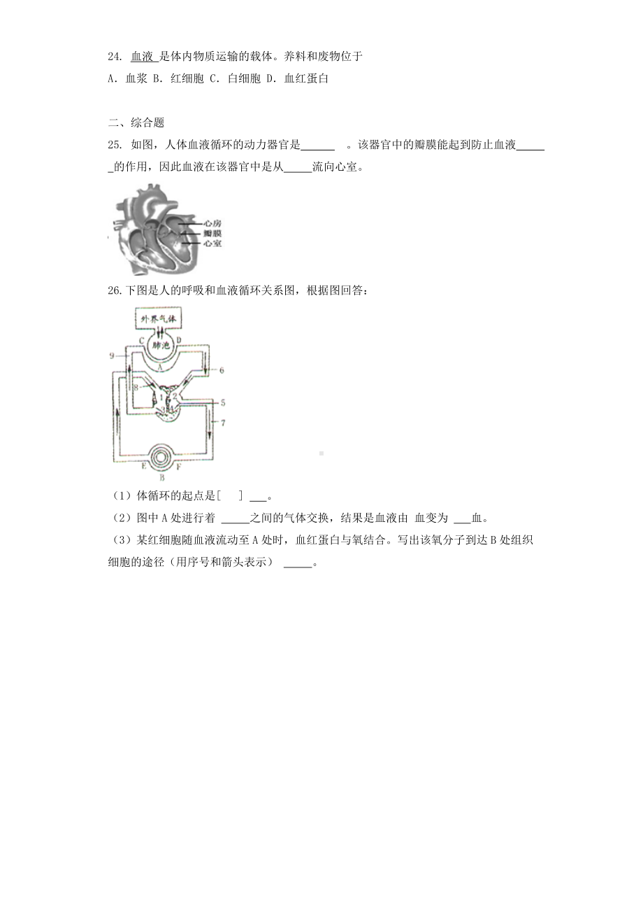 七年级生物下册-人体内的物质运输单元测试题-济南版.doc_第3页