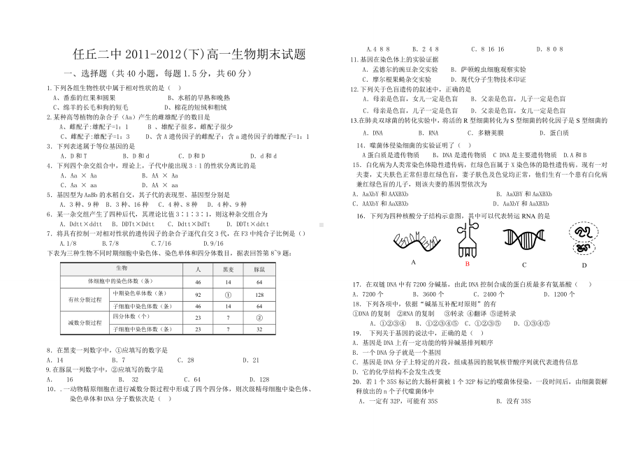 人教版-高中生物必修二期末试题.doc_第1页