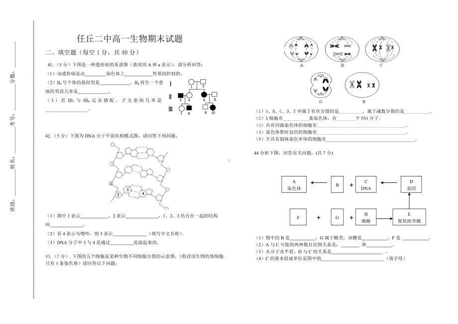 人教版-高中生物必修二期末试题.doc_第3页