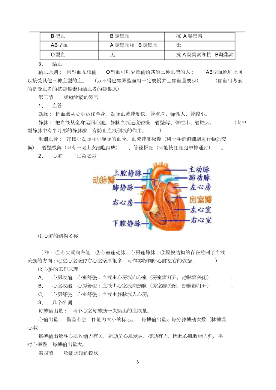 七年级下册冀教版生物知识点总结(word版).doc_第3页