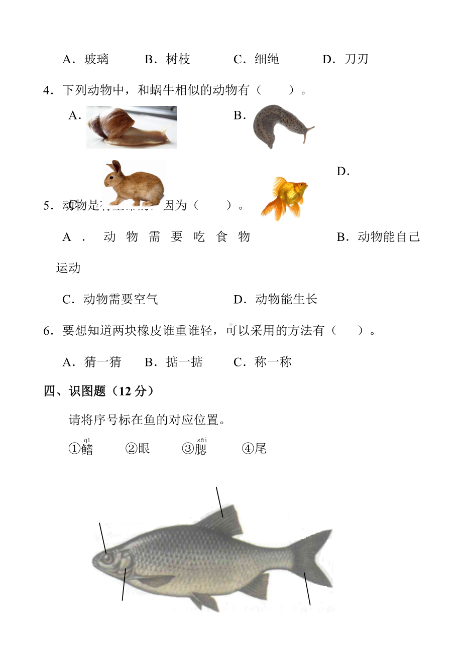 （科教版）一年级下册科学《期末考试卷》含答案.doc_第3页