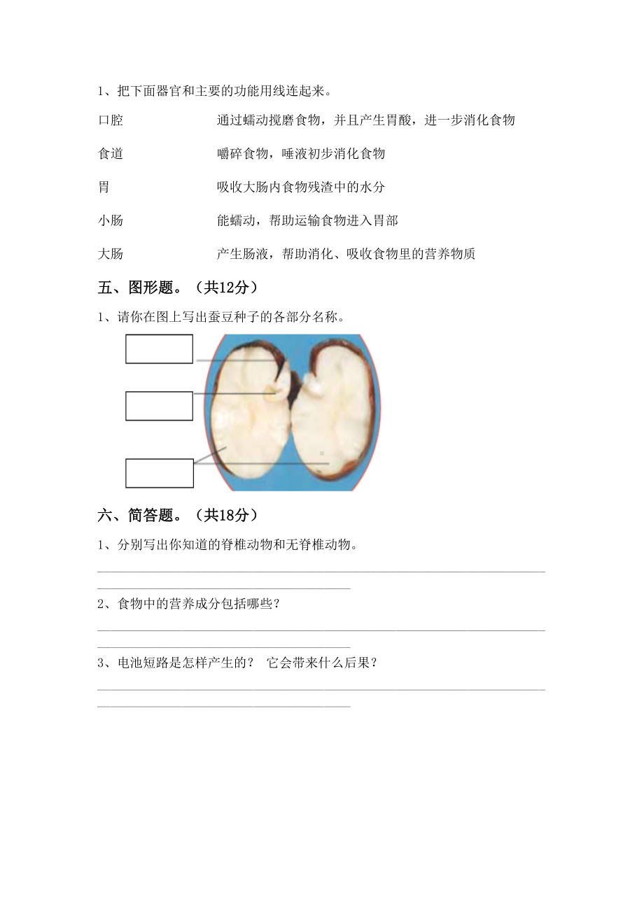 人教版四年级科学下册期末考试卷(完整).doc_第3页