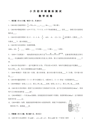 人教版小升初数学考试试题及答案解析.docx