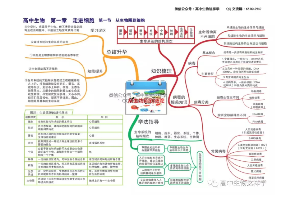 (完整版)高中生物思维导图全册.doc_第1页