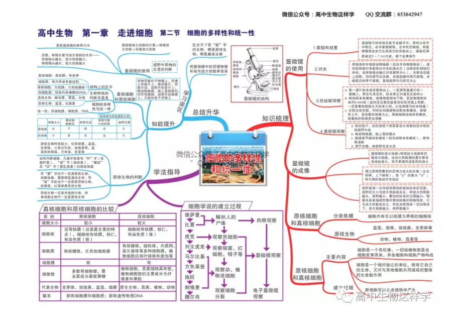 (完整版)高中生物思维导图全册.doc_第2页