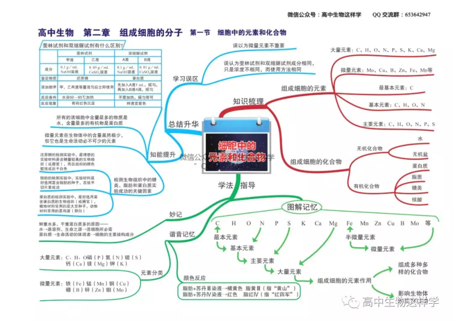 (完整版)高中生物思维导图全册.doc_第3页