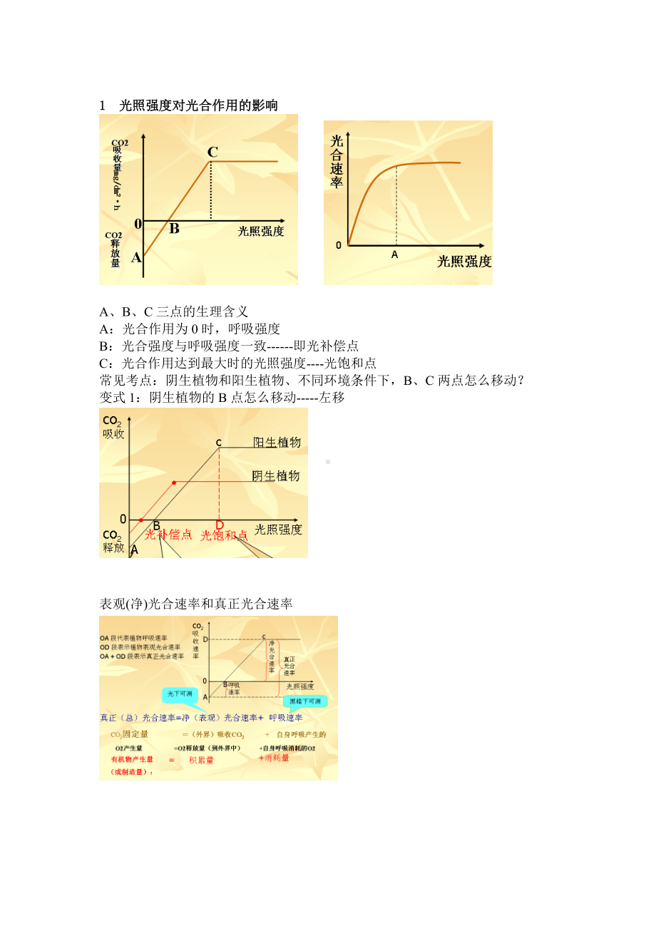 (完整版)高考生物专题光合作用知识点及专题练习.doc_第3页