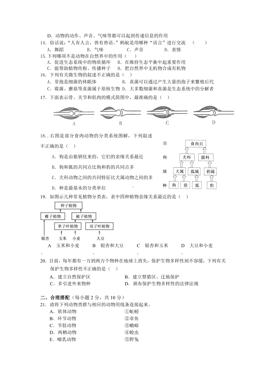 人教版八上生物期末考试试卷.docx_第2页