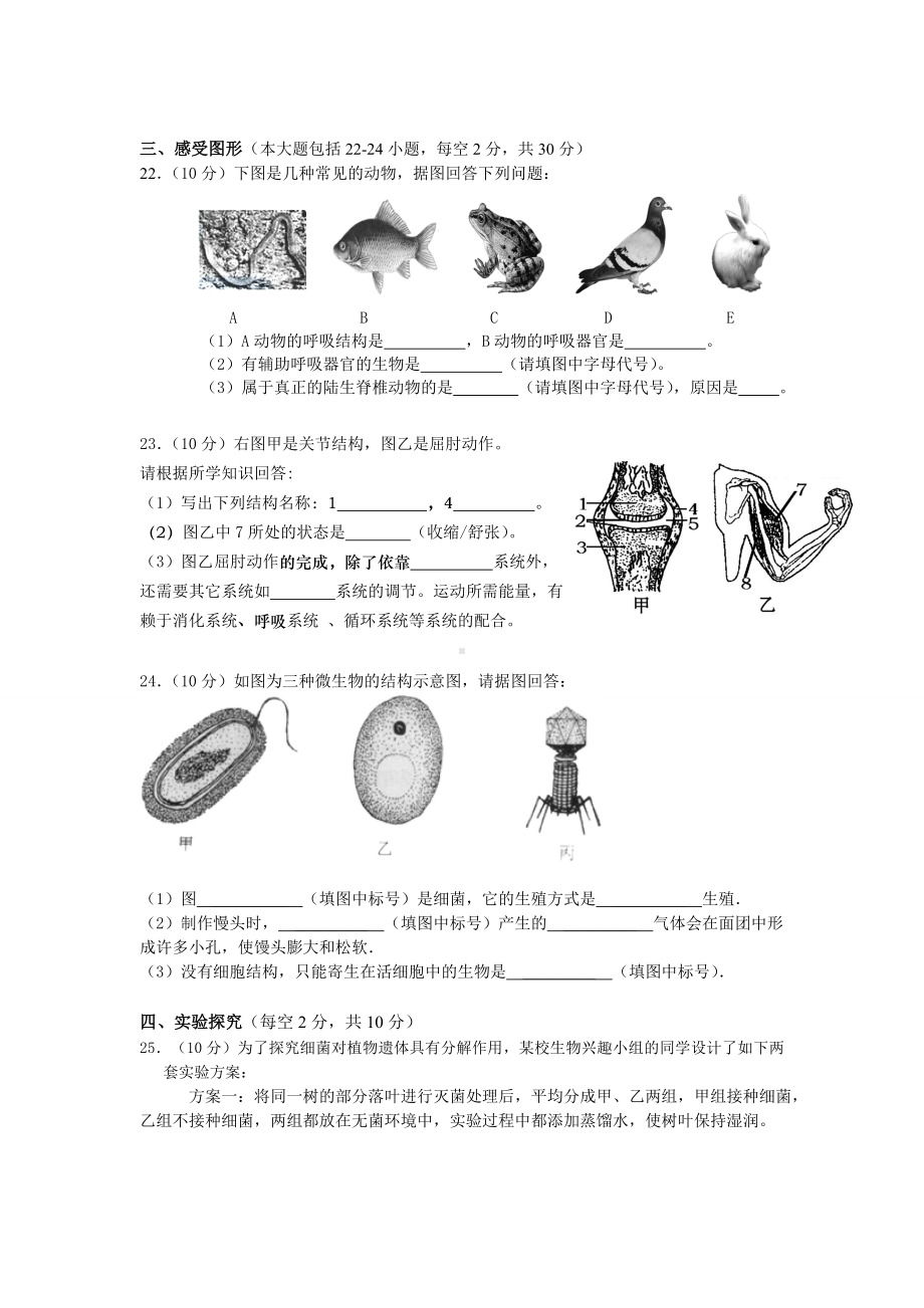 人教版八上生物期末考试试卷.docx_第3页