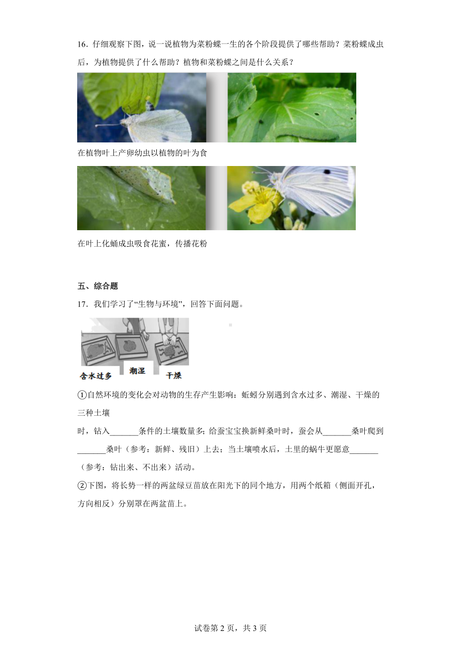 2023新湘科版四年级下册《科学》第三单元 生物与环境 练习卷（含答案）.docx_第2页