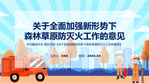 详解宣贯关于全面加强新形势下森林草原防灭火工作的意见内容PPT教学.pptx