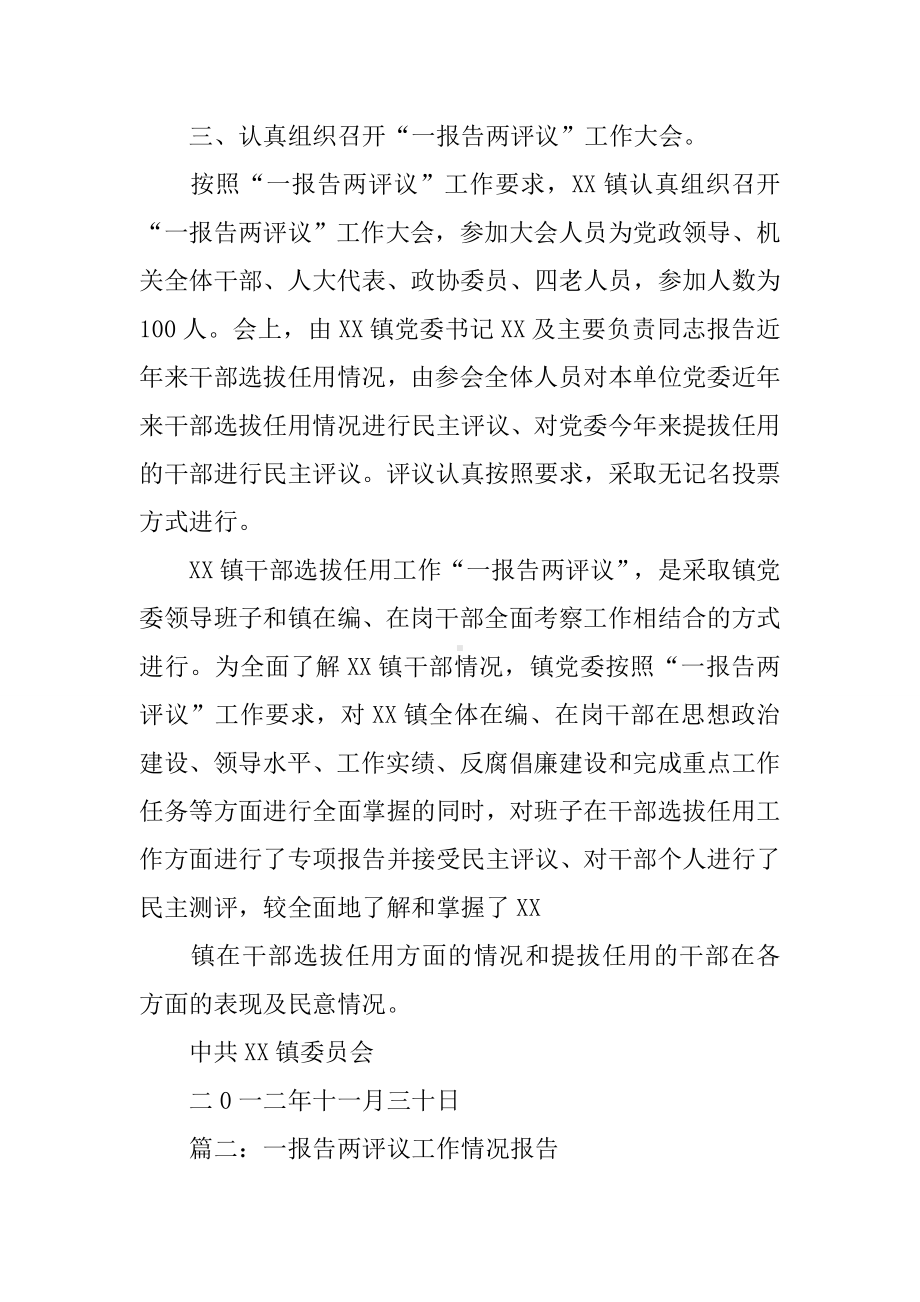 一报告两评议工作总结.docx_第3页