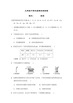 九年级下册化学期末测试卷(附答案).docx