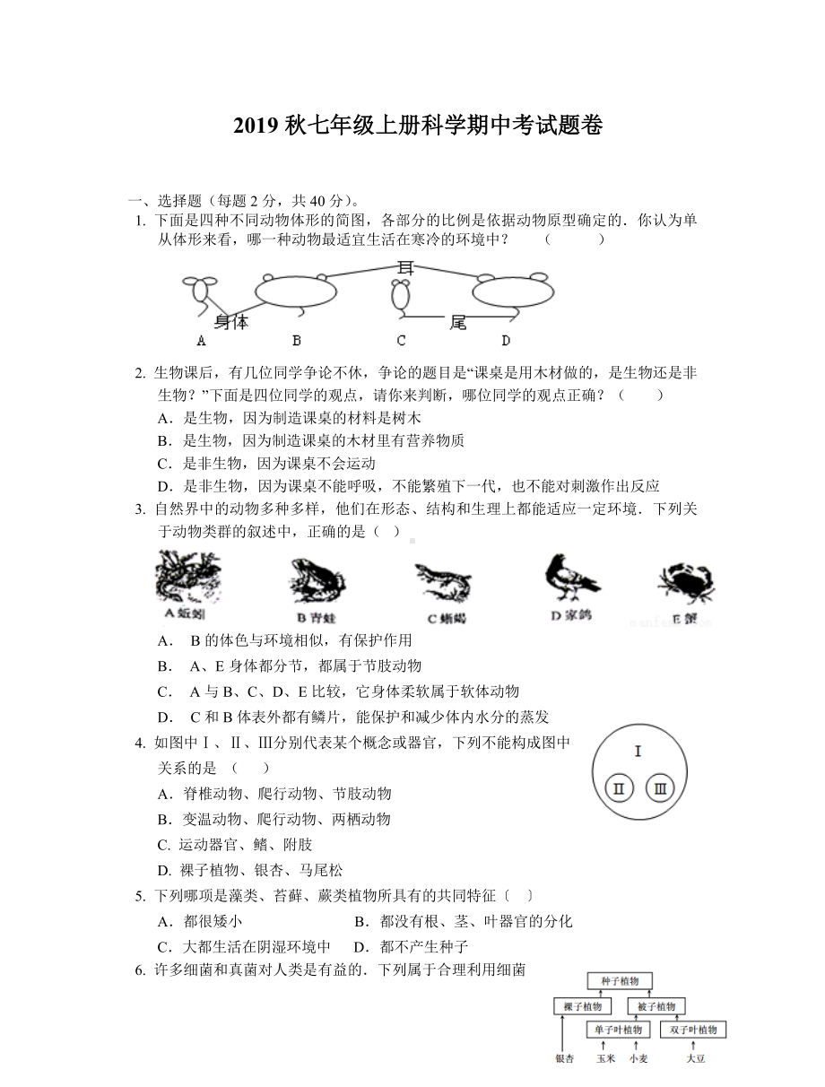 （华师大版）七年级科学上册期中试卷.doc_第1页